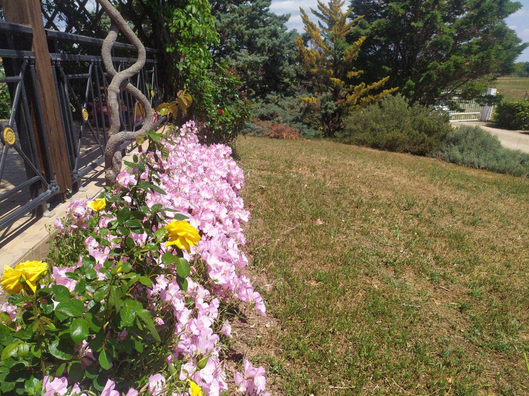 알렉산드로폴리스 Hill View 4 빌라 외부 사진